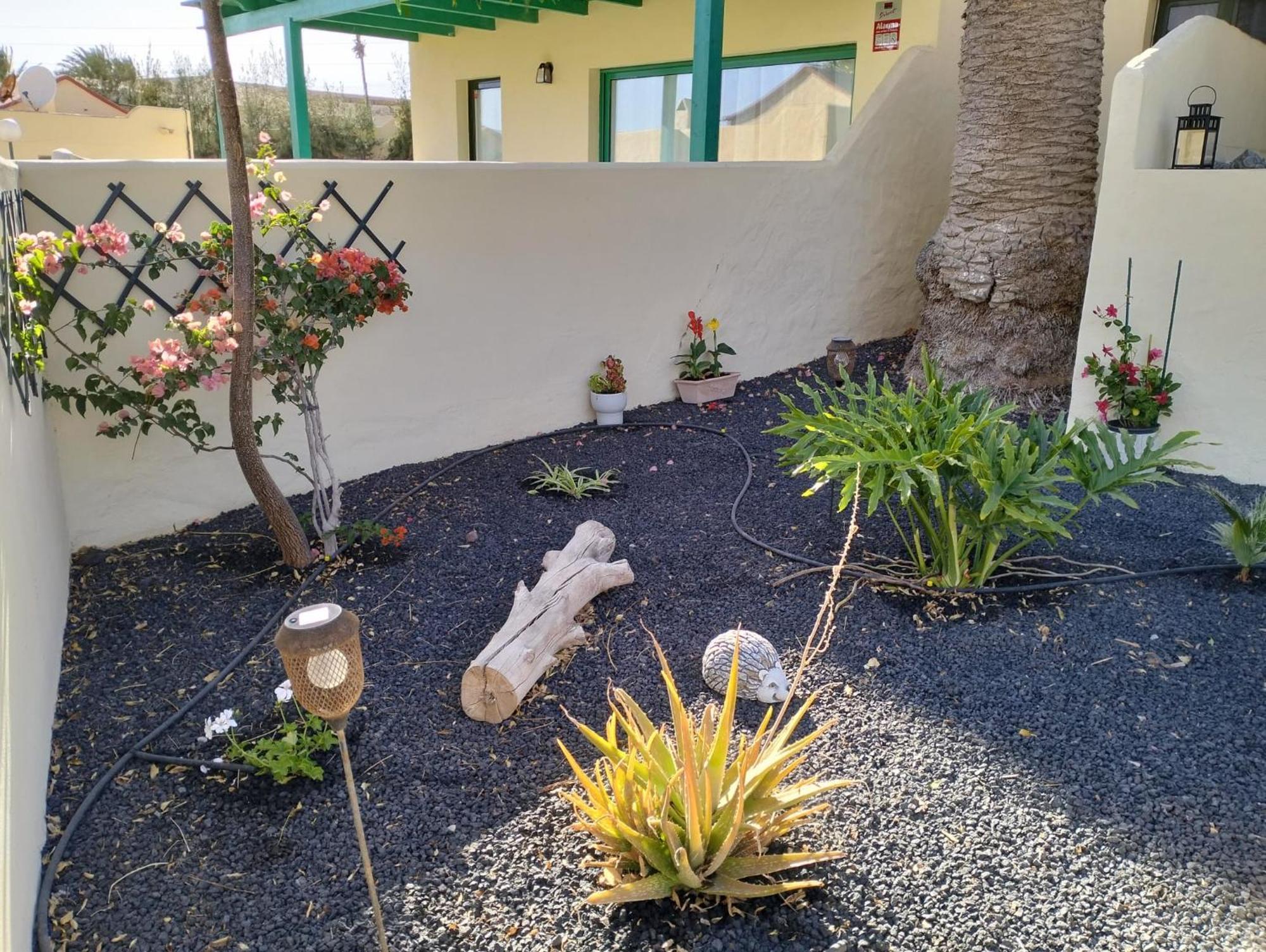 Apartamento Montes Blancos Costa Calma Exterior foto